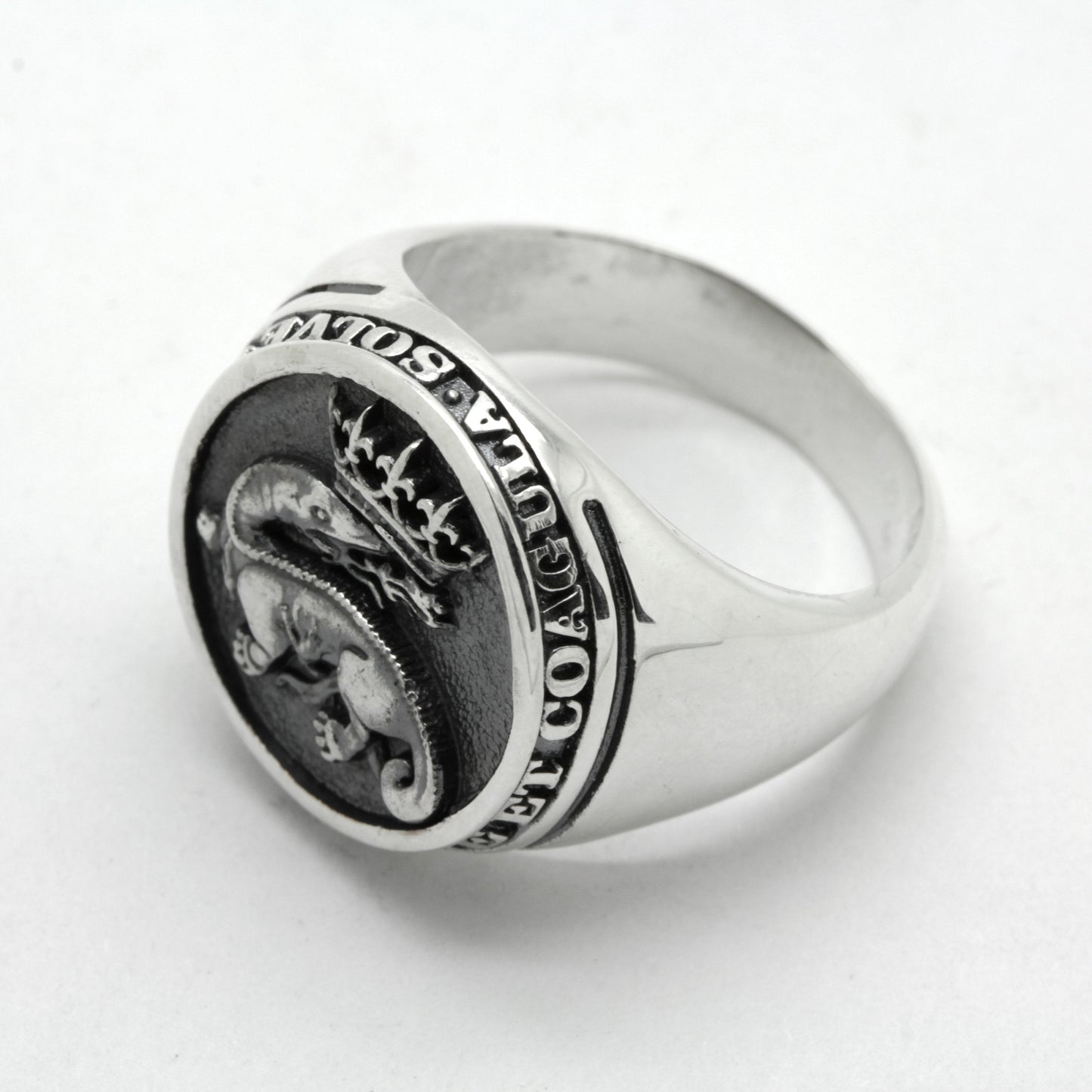Anillo de alquimia con sello oculto para hombre, con aliento de salamandra y corona de fuego, Solve et Coagula, plata 925